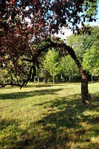 Funny how things turn out sometimes