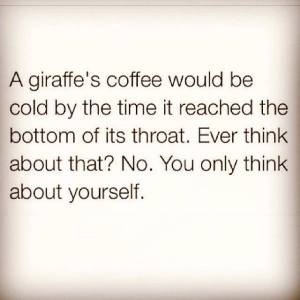 giraffe, coffee