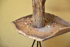 feeding station